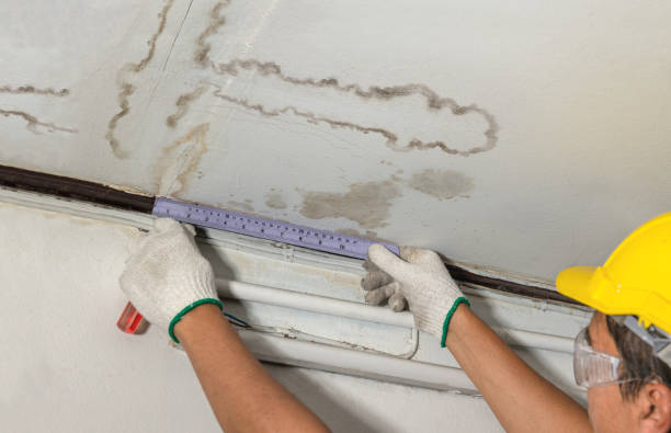 Reliable Burst Pipe Cleanup contractor in Roca, NE by Water Damage Irwin